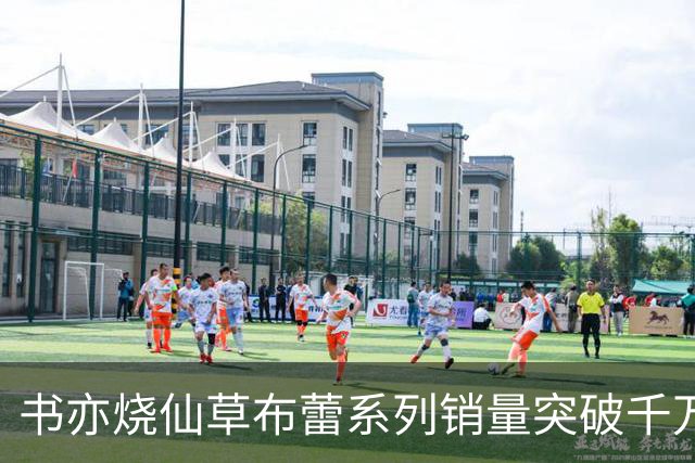 书亦烧仙草布蕾系列销量突破千万级别的市场分析